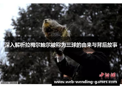 深入解析拉梅尔鲍尔被称为三球的由来与背后故事