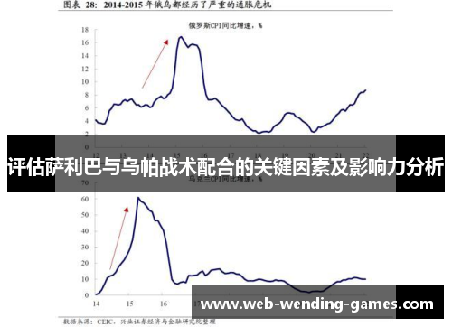 评估萨利巴与乌帕战术配合的关键因素及影响力分析 评估萨利巴与乌帕战术配合的关键因素及影响力分析
